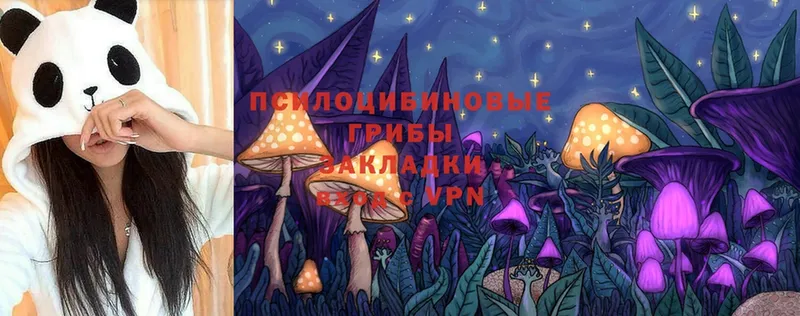 Галлюциногенные грибы MAGIC MUSHROOMS  Белово 